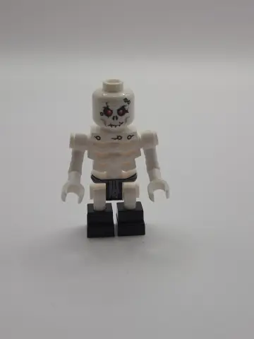 LEGO Minifigures omslag